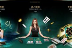 正规mg电子游戏平台-探寻正规MG电子游戏平台的奥秘，安全、公平与共存的数字娱乐新纪元-正规mg电子游戏平台