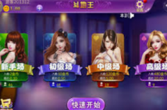冰球突破豪华版免费试玩-冰球突破豪华版，解锁免费试玩，体验极速与技巧的完美结合-冰球突破豪华版免费试玩